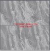 Gạch Perfetto-Hoàn Mỹ 80x80 35304