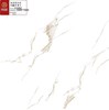 Gạch Prime 100x100 21002