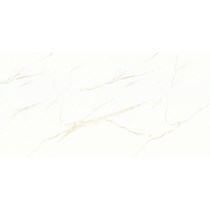 Gạch Prime 60x120 8302
