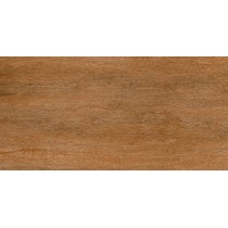 Gạch Prime 60x120 nhám 8319