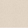 Gạch sân vườn Bạch Mã 40x40 HG4001