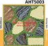 Gạch sân vườn giá rẻ 50x50 AHT5003