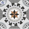 Gạch sân vườn giá rẻ 50x50 HL5503S