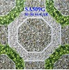 Gạch sân vườn giá rẻ 50x50 SA509