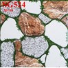 Gạch sân vườn giá rẻ 50x50 SG524