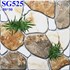 Gạch sân vườn giá rẻ 50x50 SG525