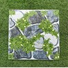 Gạch sân vườn giá rẻ 50x50 TQA5502