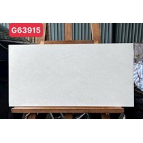 Gạch Taicera 30x60 G63915