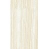 Gạch Taicera 60x120 đá bóng GP12206