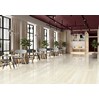 Gạch Taicera 60x120 đá bóng GP12206