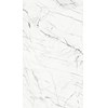Gạch Taicera 60x120 đá bóng GP12905