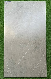 Gạch Taicera 60x120 đá mờ 2 da G128085