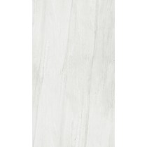 Gạch Taicera 60x120 mờ G12093