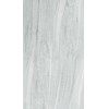 Gạch Taicera 60x120 mờ G12094