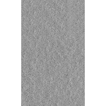 Gạch Taicera 60x120 mờ G12528DD
