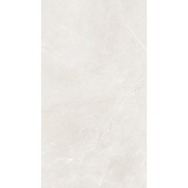 Gạch Taicera 60x120 mờ G12845