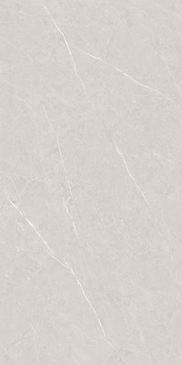 Gạch Takao 60x120 32103