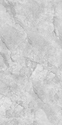 Gạch Takao 60x120 52102