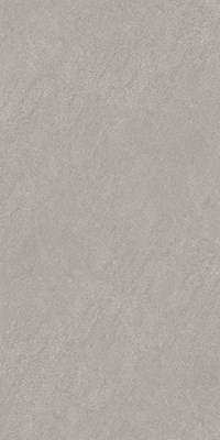 Gạch Takao 60x120 mờ 32111
