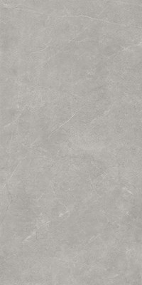 Gạch Takao 60x120 mờ 32112