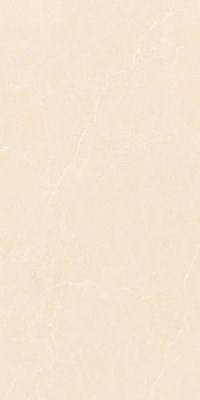 Gạch Takao 60x120 mờ 52111