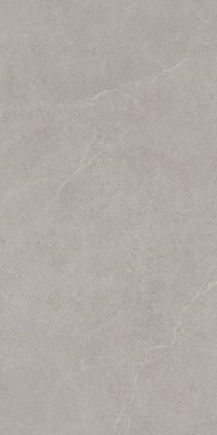 Gạch Takao 60x120 mờ 52115