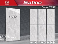 Gạch Tasa 60x120 1502