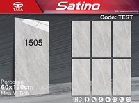 Gạch Tasa 60x120 1505