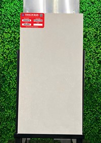 Gạch Thạch bàn 30x60 mờ PGM36-0244