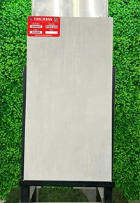 Gạch Thạch bàn 30x60 mờ PGM36-0259