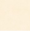 Gạch Thạch Bàn 60x60 mờ PGM60-0243