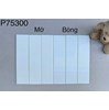 Gạch thẻ trang trí 7.5x30 P75300