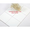 Gạch thẻ vuông trắng mờ phẳng 20x20