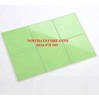 Gạch thẻ vuông xanh lá bóng phẳng 10x10