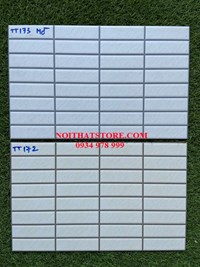 Gạch trang trí 25x40 TT172-173 mờ