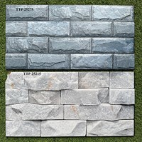 Gạch trang trí 25x50 giá rẻ men mờ TTP25275-25215