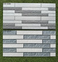 Gạch trang trí 25x50 giá rẻ men mờ TTP25281-25219