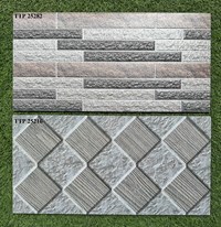 Gạch trang trí 25x50 giá rẻ men mờ TTP25282-25216