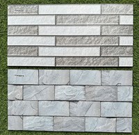 Gạch trang trí 25x50 giá rẻ men nhám TTP25214-25220