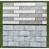 Gạch trang trí 25x50 giá rẻ men nhám TTP25214-25220