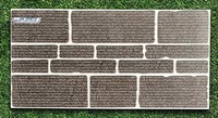 Gạch trang trí 25x50 giá rẻ SM25503