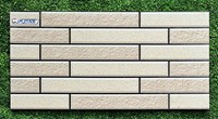 Gạch trang trí 25x50 giá rẻ SM25505