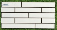 Gạch trang trí 25x50 giá rẻ SM25511