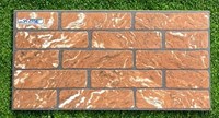 Gạch trang trí 25x50 giá rẻ SM25516