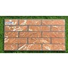 Gạch trang trí 25x50 giá rẻ SM25516
