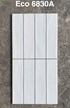 Gạch trang trí 30x60 bóng ECO 6830A