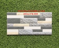 Gạch trang trí giá rẻ 20x40 ĐVT2442
