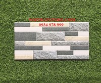 Gạch trang trí giá rẻ 20x40 ĐVT2482M