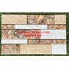 Gạch trang trí giá rẻ 25x40 T74423N