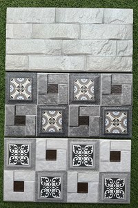 Gạch trang trí giá rẻ 25x50 25016-25028-25029